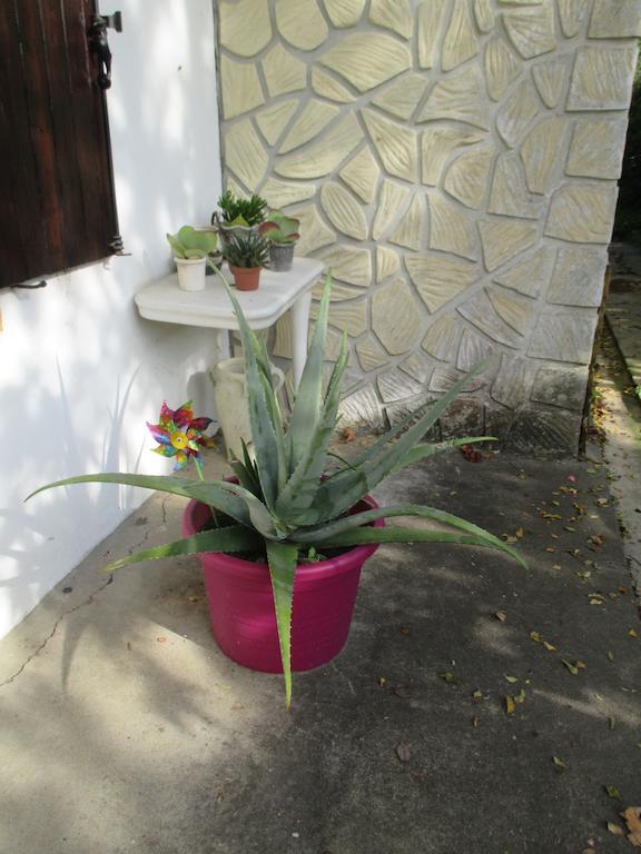 Gite Habas Exterior photo